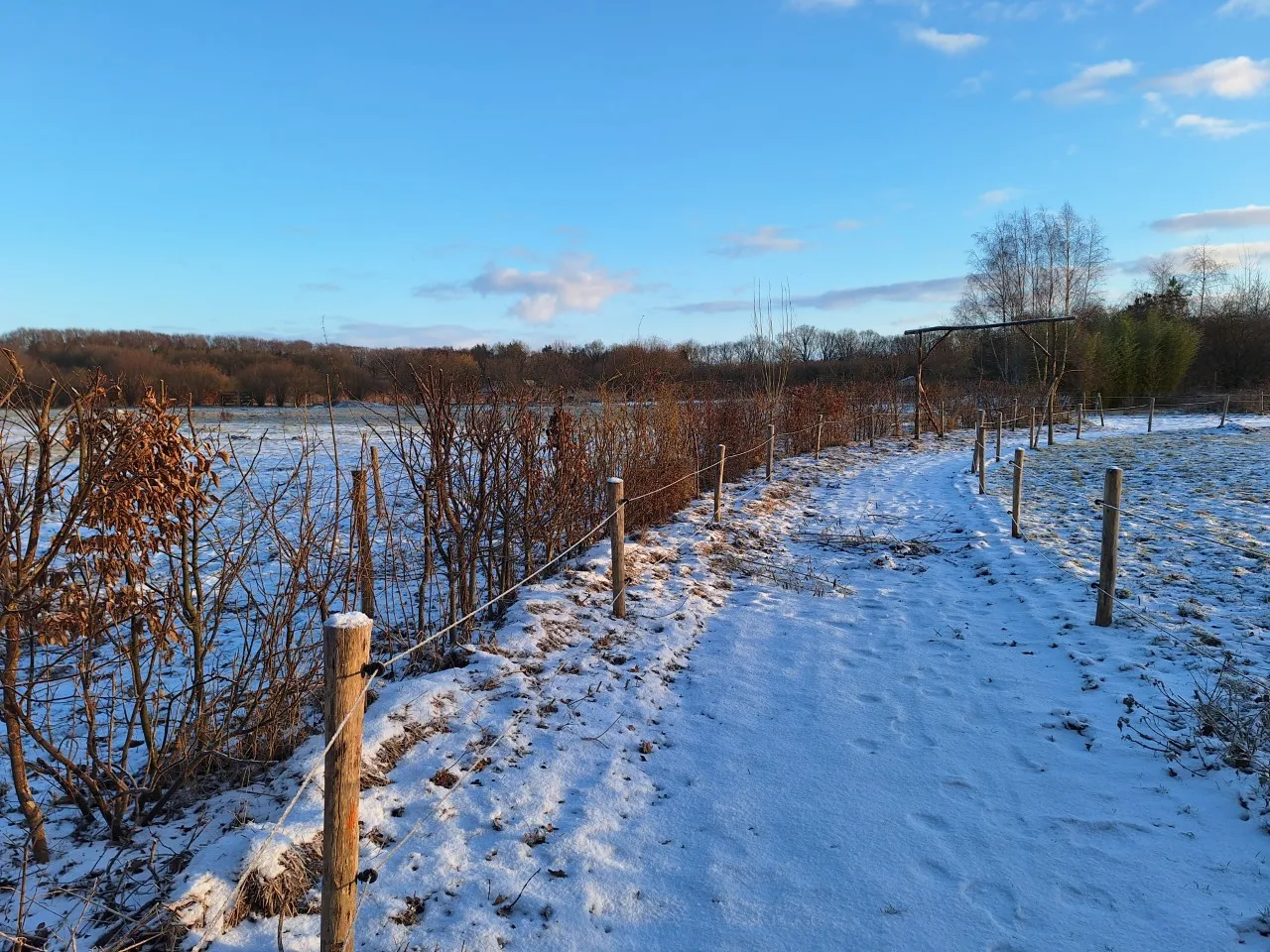 Aan de slag met paardenplanten in januari en februari 